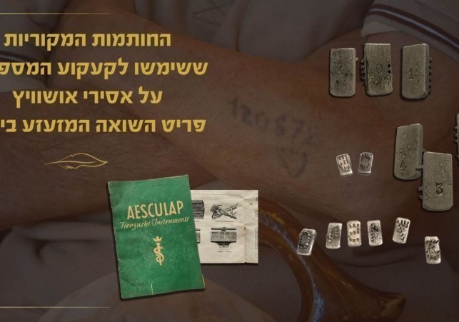 tatuowanie w auschwitz