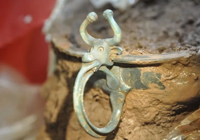 poszukiwacz skarbow z walii