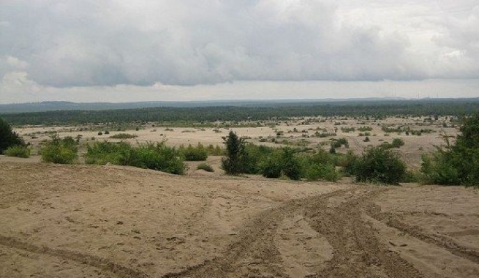 big_800px-Pustynia_B_dowska__2012-08-26_