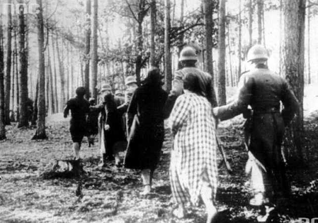 egzekucja w Palmirach