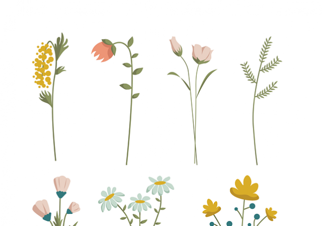 dekolonializacji zbiorów botanicznych