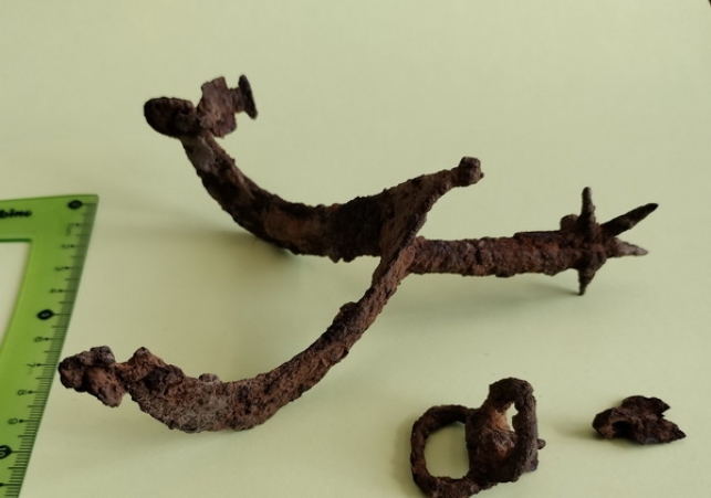 odkrycia pod hrubieszowem