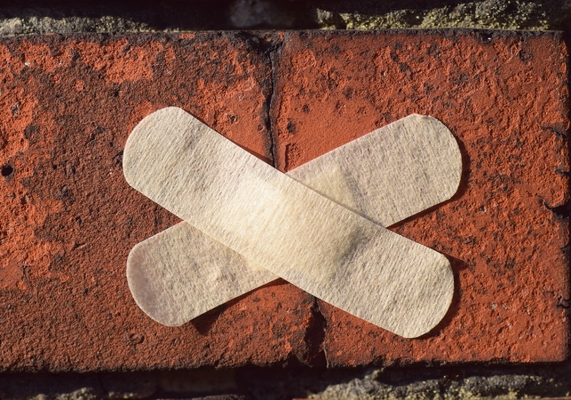 DNA ze starożytnej cegły