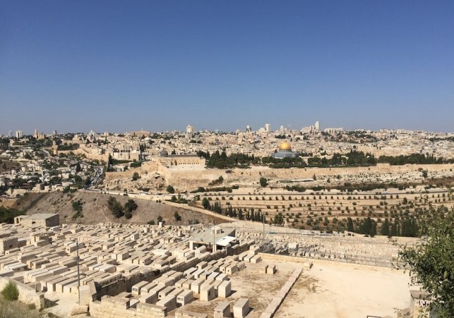 srebrny ćwieć szekla