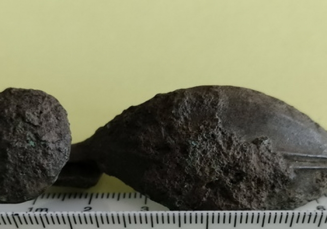 odkrycie poszukiwacza skarbow