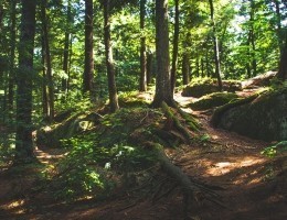 POwstanie Styczniowe