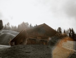 pexels-photo-4406592