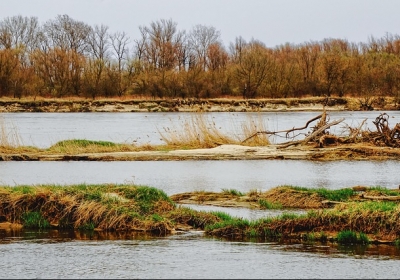 rzeka wisła