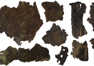 ludzka skora wykorzystywana przez scytow