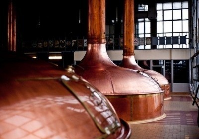 grupa zywiec browar w lezajsku