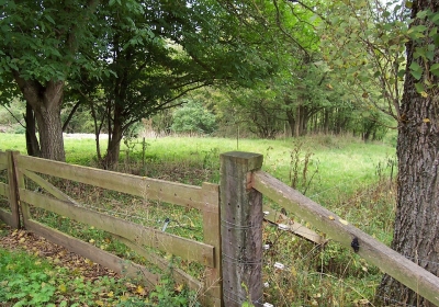 wykopaliska w niemczech