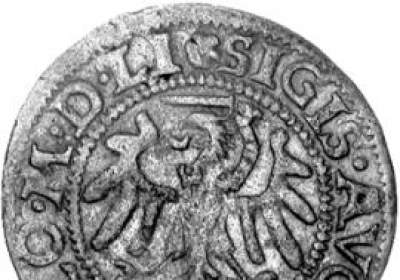 zygmunt august monety