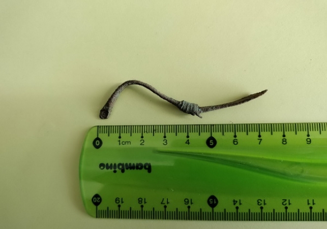 zabytki-archeologiczne-zamosc1